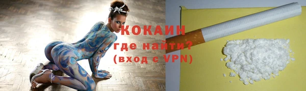 дживик Горнозаводск