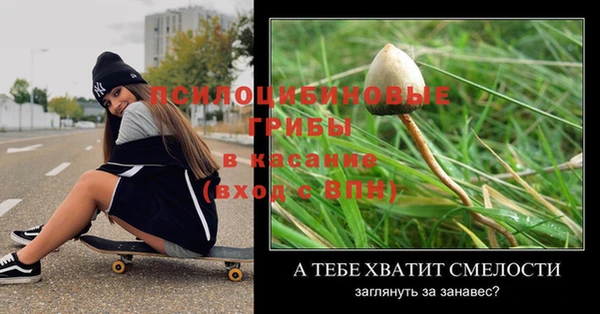 соль ск Горняк