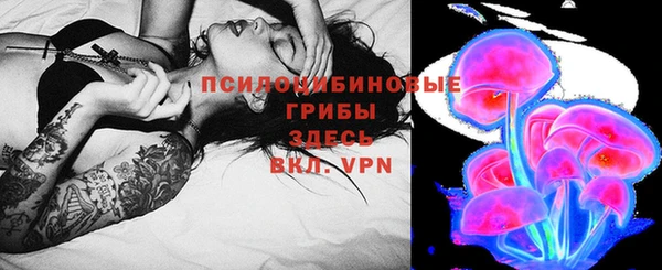 дживик Горнозаводск