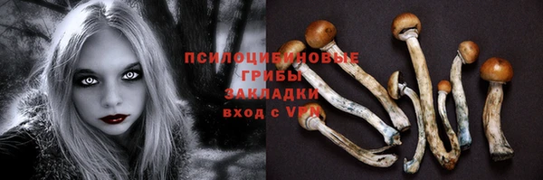 соль ск Горняк